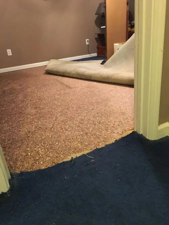 Carpet pad removal revealing water damage during Drying & Dehumidification in Montpelier