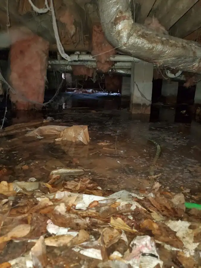 Crawl space flood assessment for Leak Detection & Repair in Montpelier